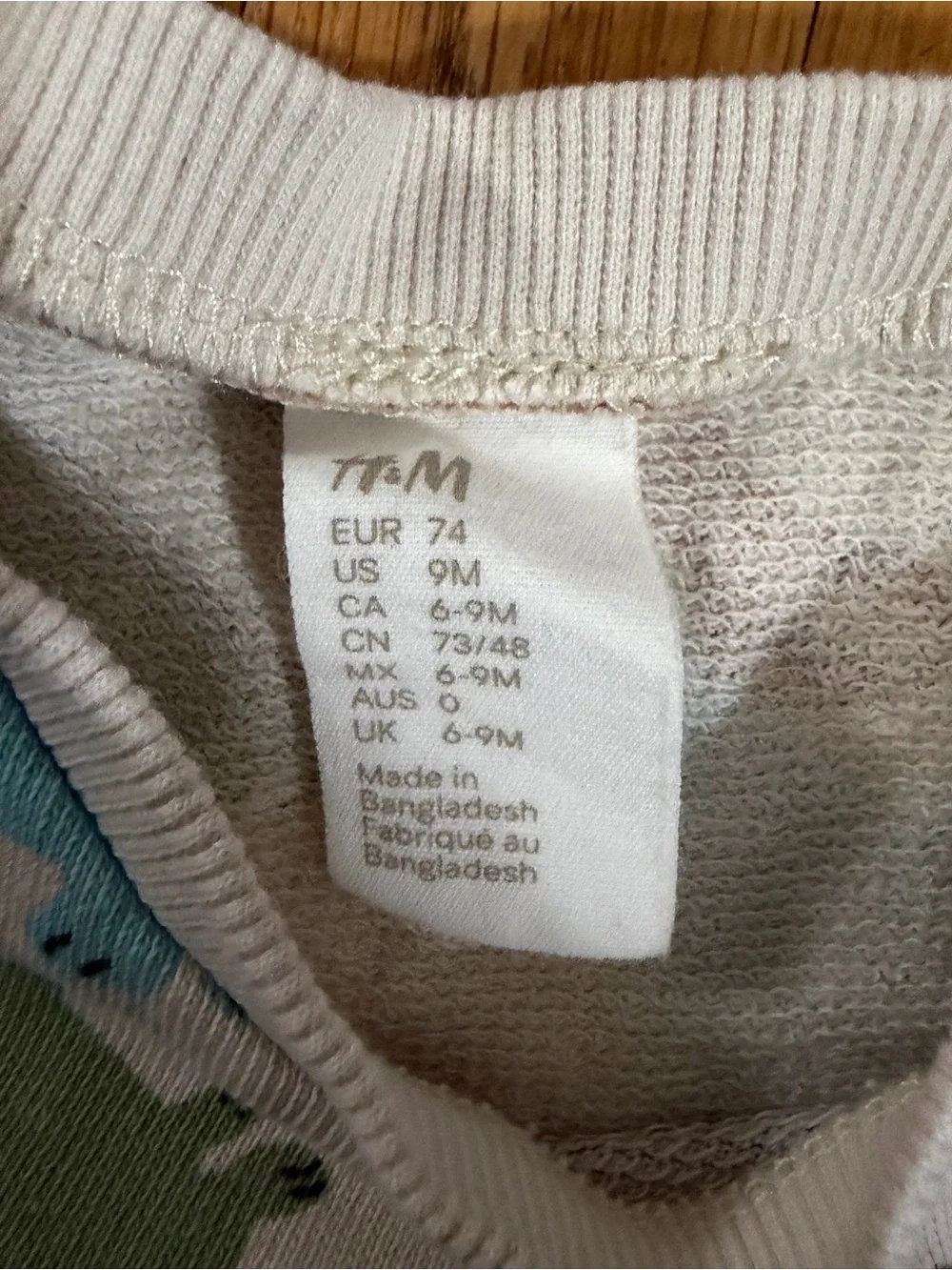 H&M 9M Dino Sweatsuit